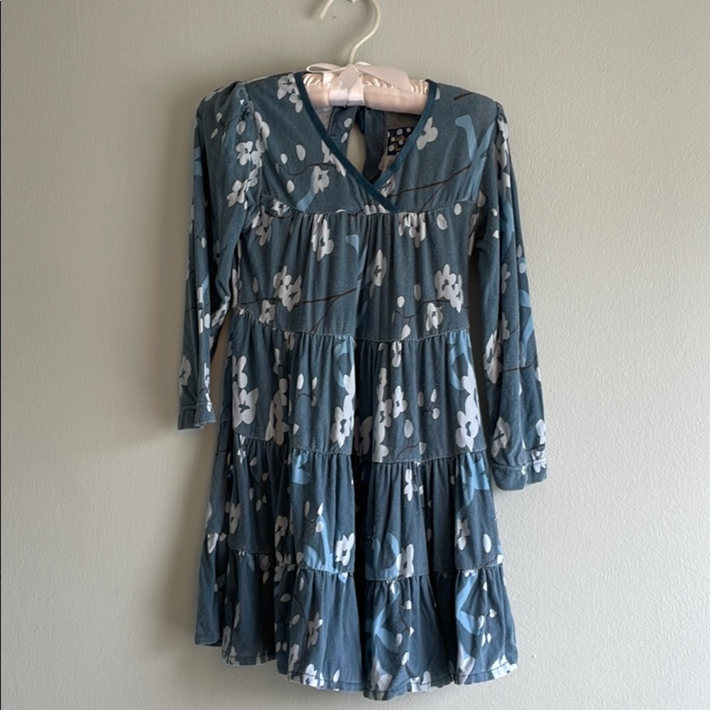 Adorable So Soft Kickee Pants Long Sleeve Dress